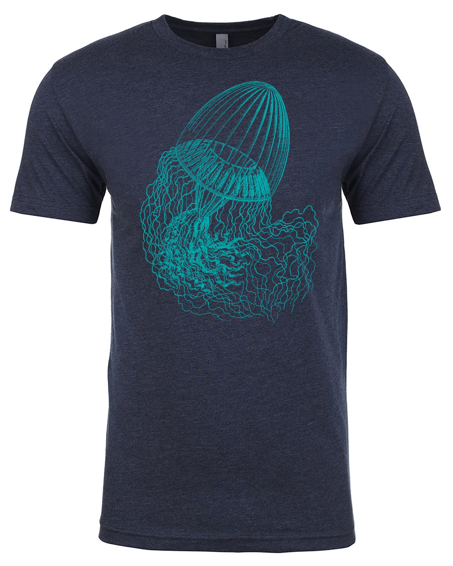 Jellyfish
