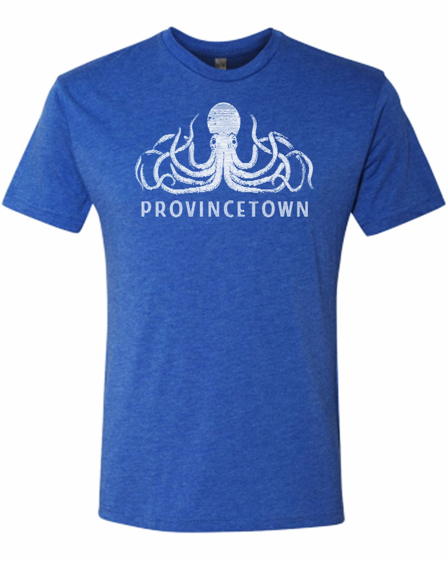 Provincetown Octopus