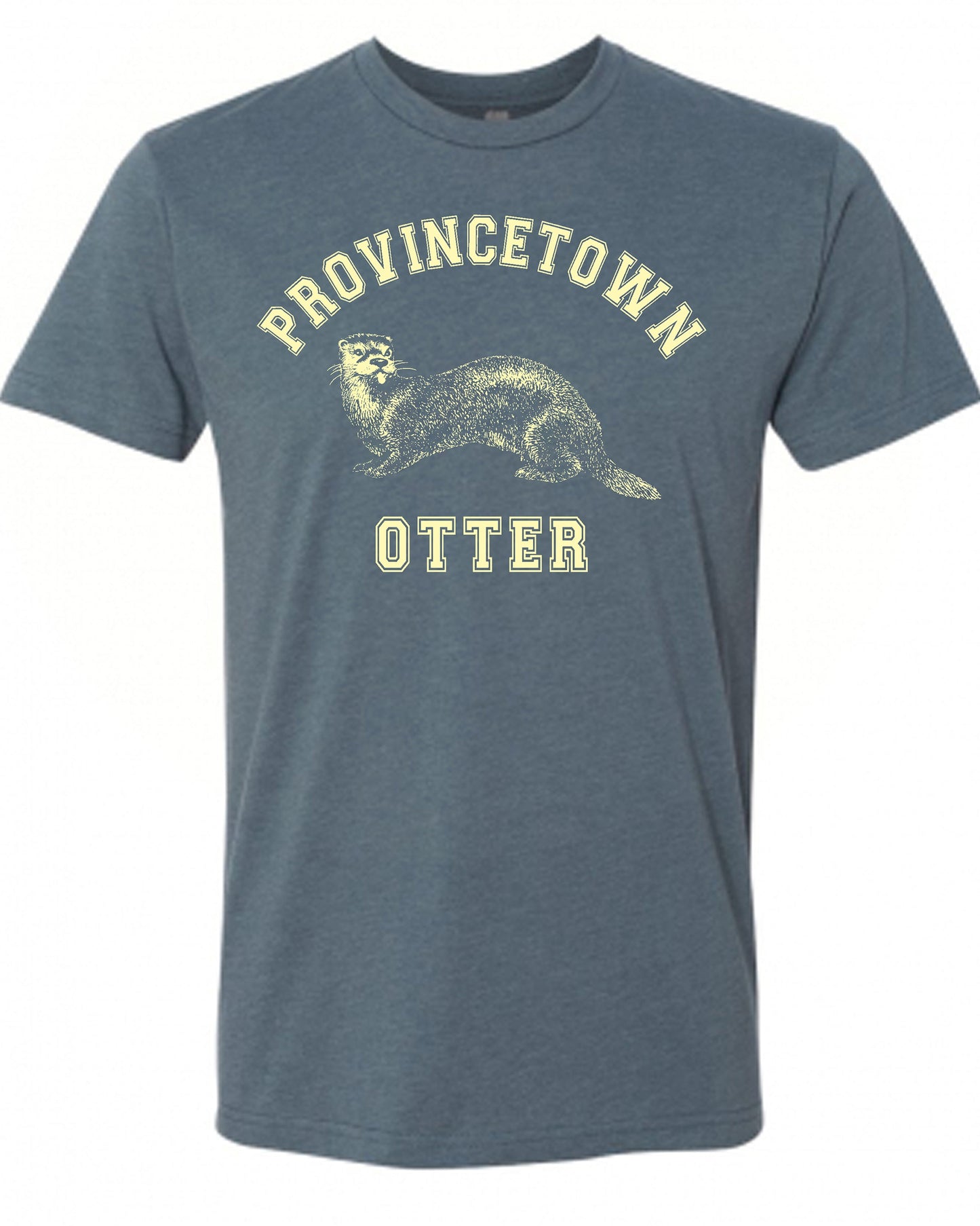 Provincetown Otter